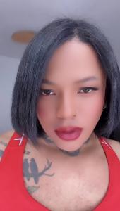 600004617: Travesti en Cádiz