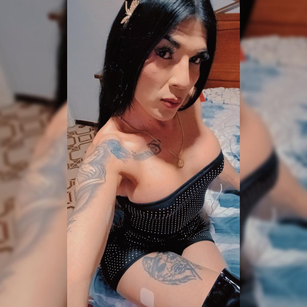 Transexual en Alicante: 