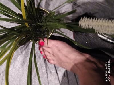 656525239: Chica busca chico en Mallorca