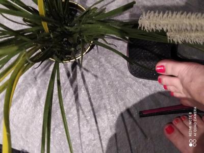 656525239: Chica busca chico en Mallorca