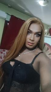 Travesti en Granada: 