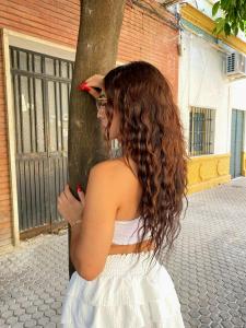 Travesti en Tarragona: 