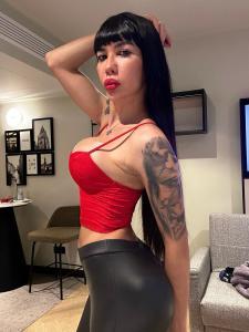 Travesti en Mallorca: 