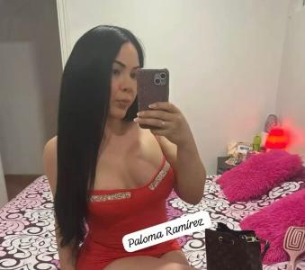 Transexual en Málaga: 