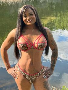 Transexual en Navarra: 