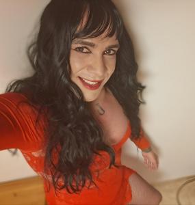 623723734: Travesti en Valencia