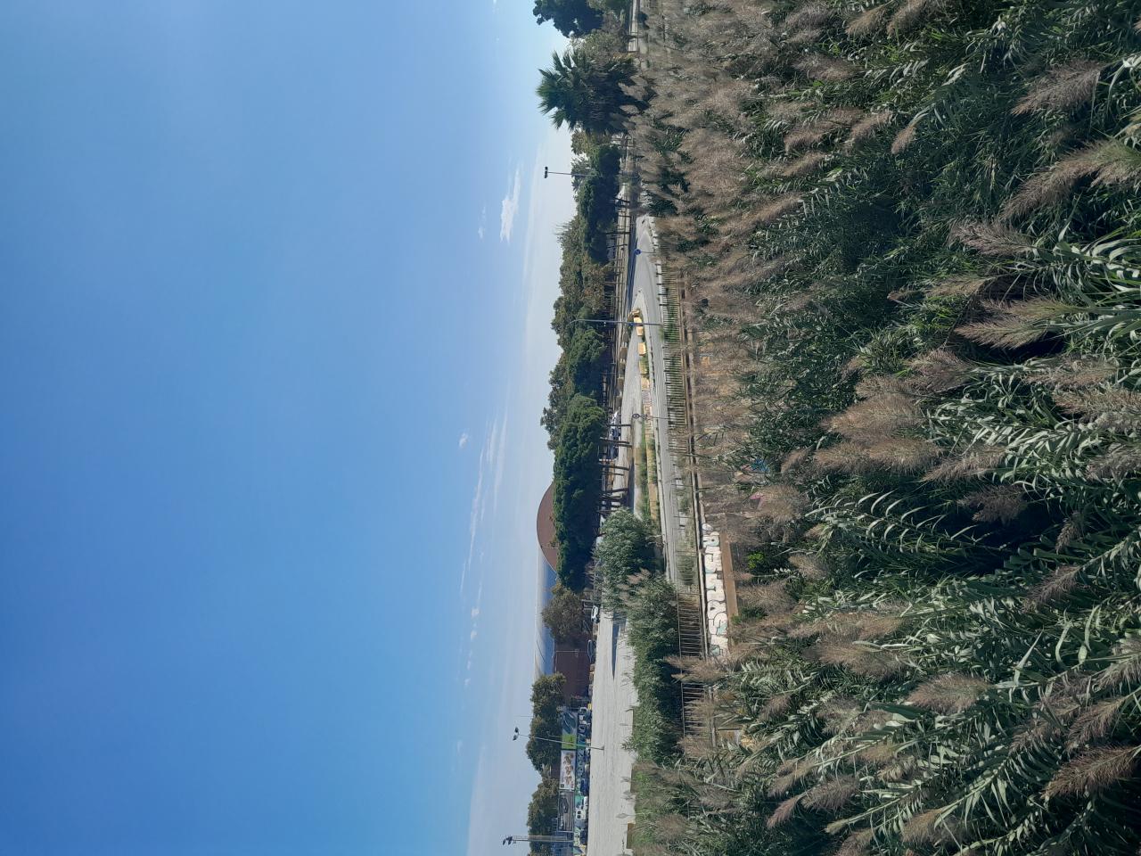 640099242: Transexual en Barcelona