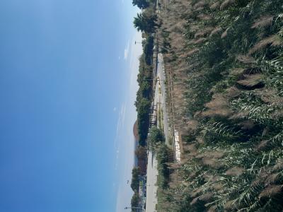 640099242: Transexual en Barcelona