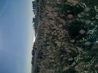 640099242: Travesti en Barcelona