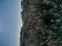 640099242: Transexual en Barcelona