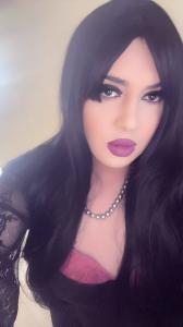 Travesti en Alicante: 