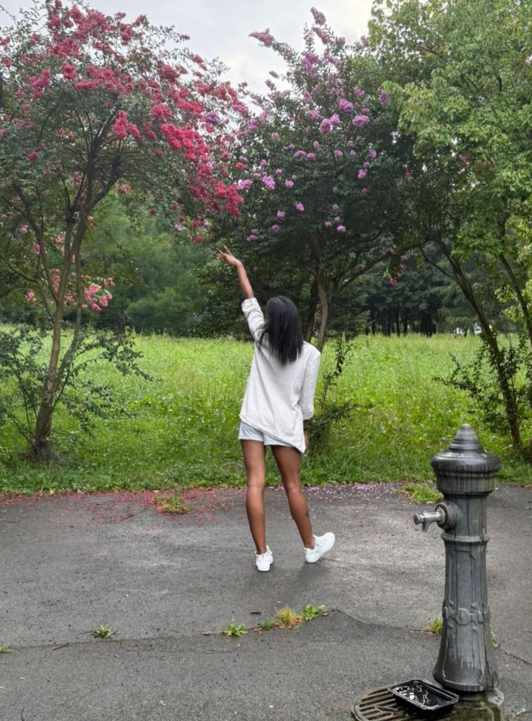 Travesti en Guipúzcoa: 