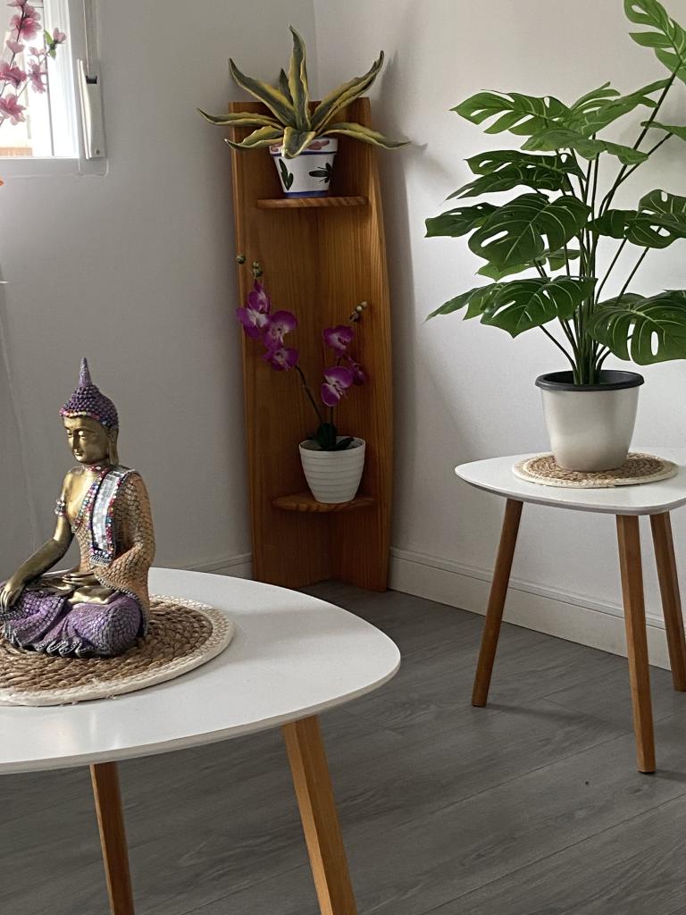 Travesti en Castellón: 