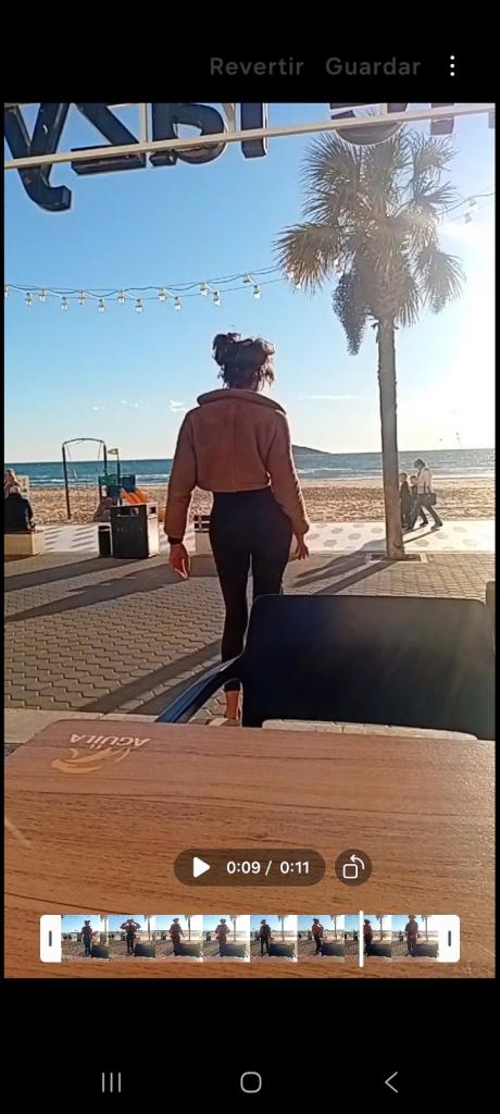 Travesti en Alicante: 