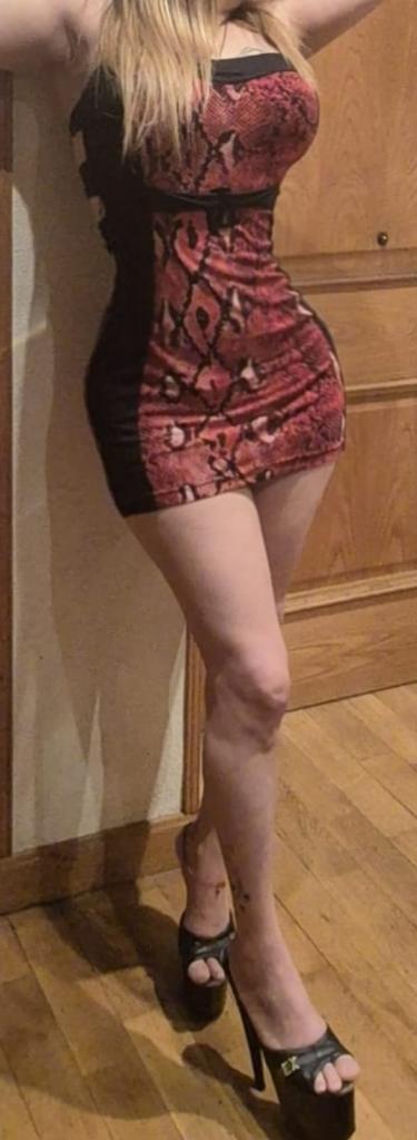 Chica busca chico en Navarra: 