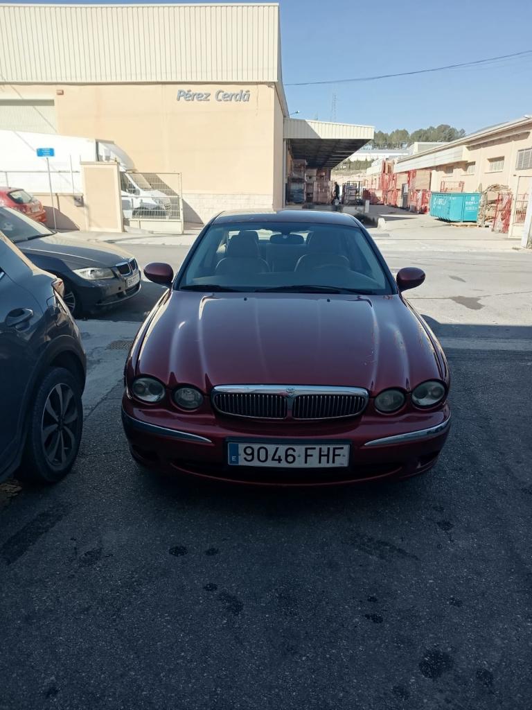 Chica busca chico en Valencia: 