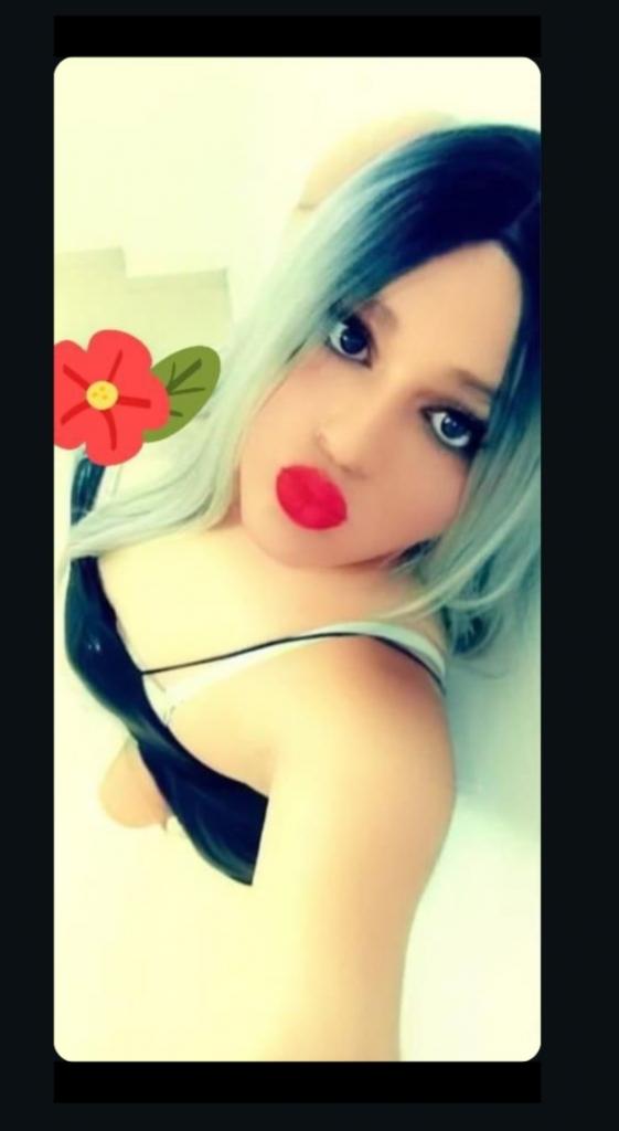 Travesti en Cantabria: 