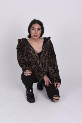 613901730: Transexual en Segovia