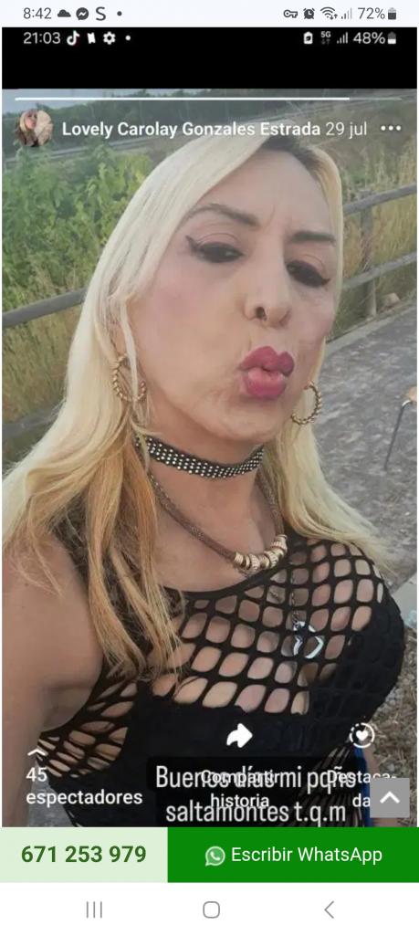 Travesti en Castellón: 