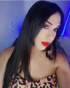 Travesti en Toledo: 