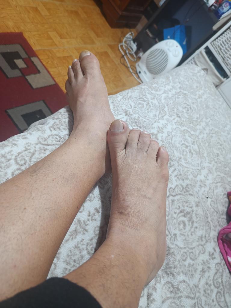 Transexual en Burgos: 