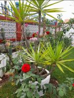 615692318: Chica busca chico en Cádiz