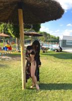 613831629: Chica busca chico en Pontevedra