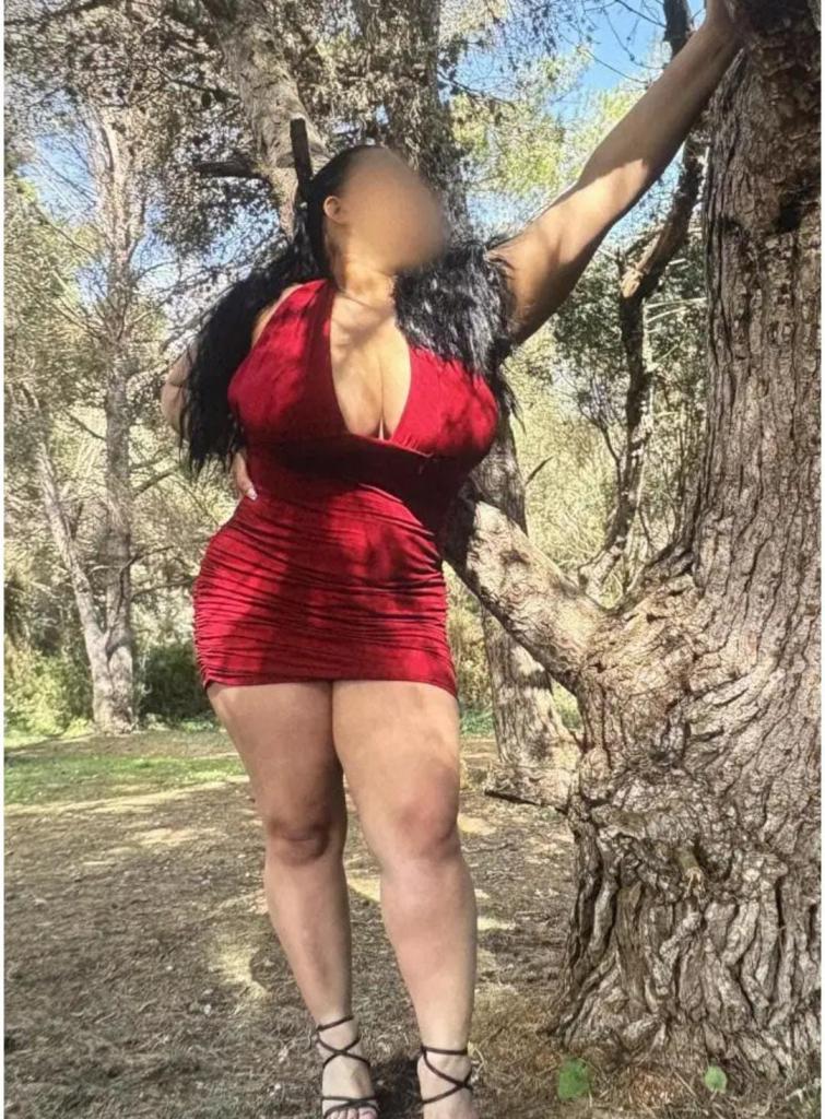 Chica busca chico en Palencia: 