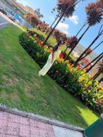 677913721: Transexual en Valladolid