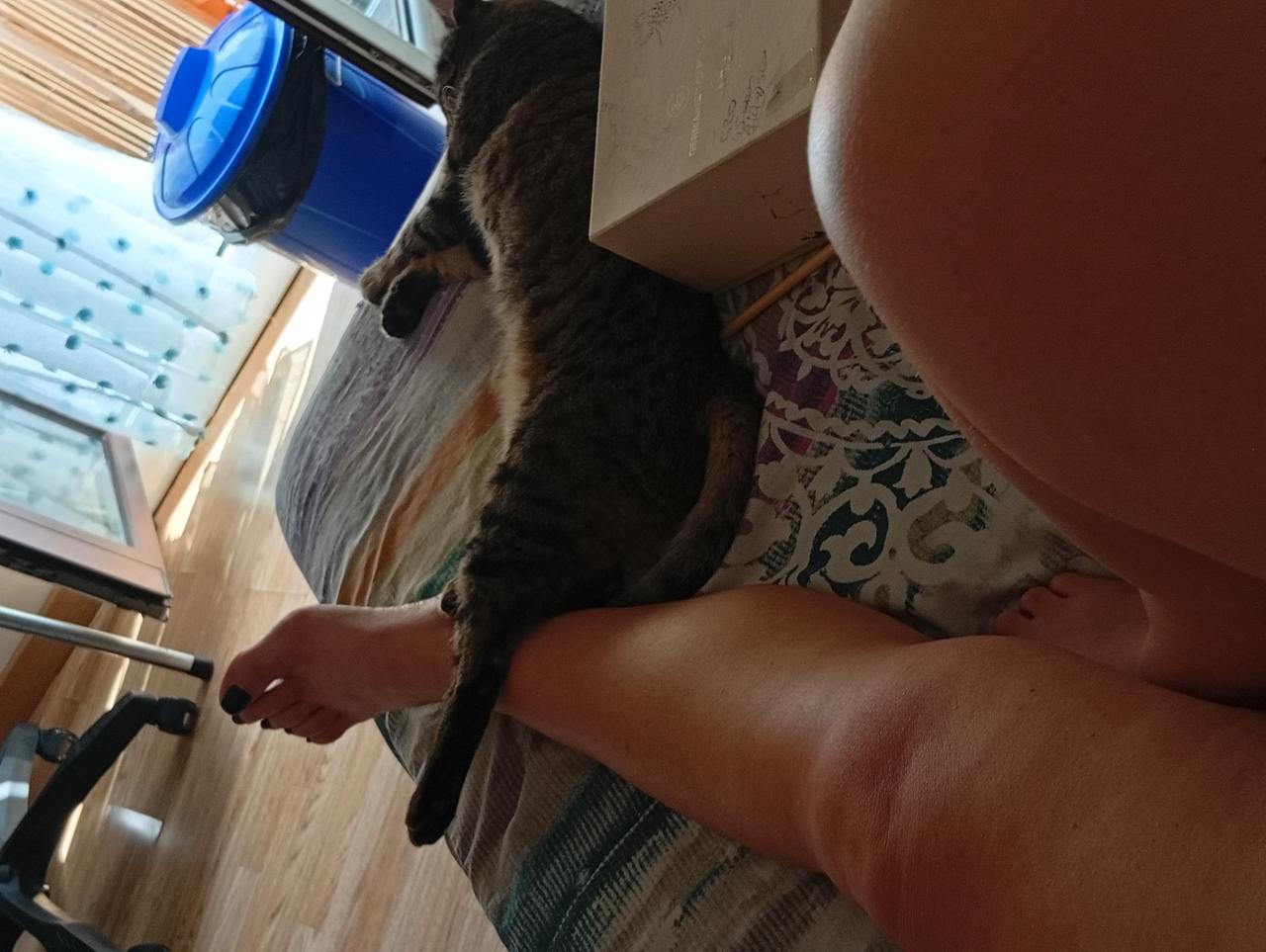 Chica busca chico en Lérida: 