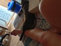 711293857: Chica busca chico en Lérida
