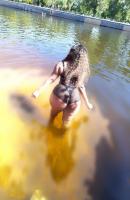 643728691: Chica busca chico en Burgos