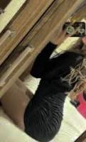 643451258: Chica busca chico en Zaragoza