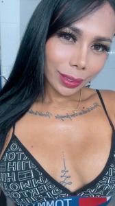Travesti en Alicante: 