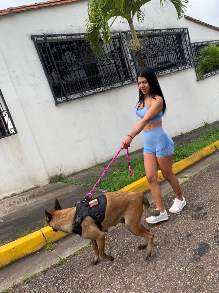 Chica busca chico en Las Palmas: 