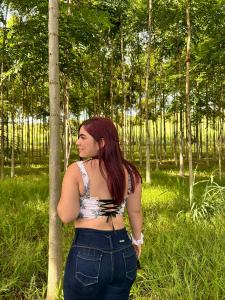 Virtual en Pontevedra: 