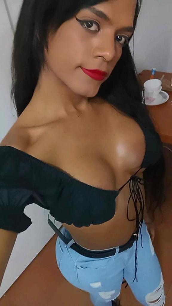 Travesti en Vizcaya: Transexuales y Travestis