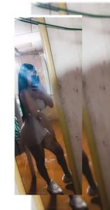 672596681: Travesti en Valencia