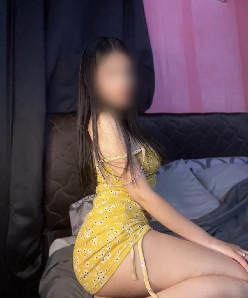 Chica busca chico en Palencia: 
