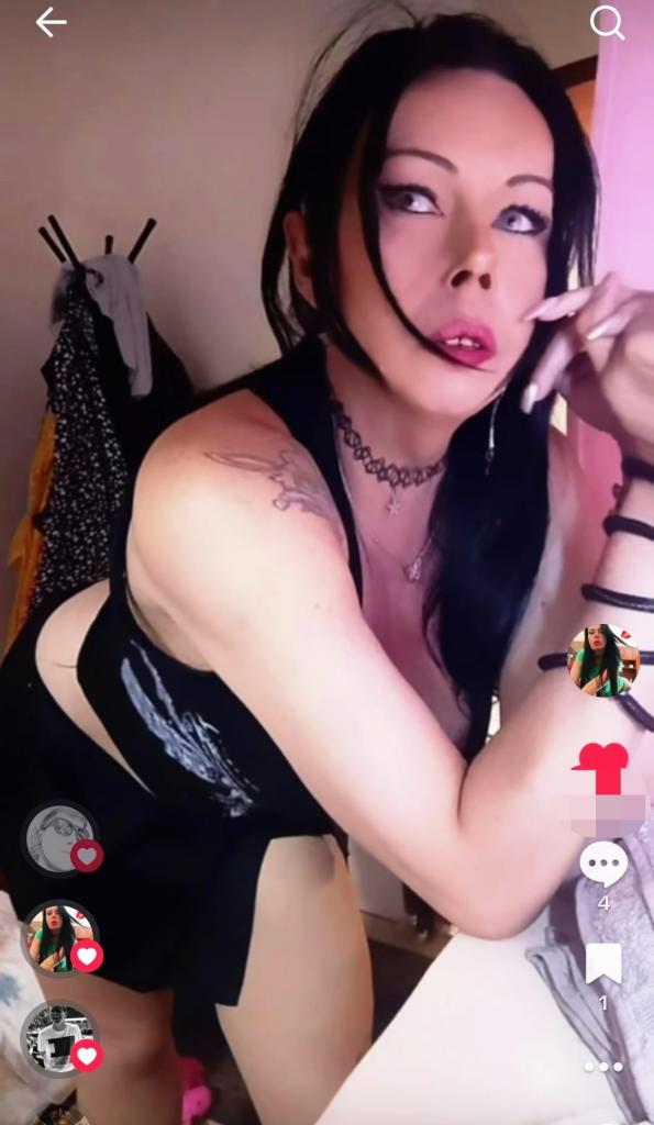 Transexual en Vizcaya: Transexuales y Travestis