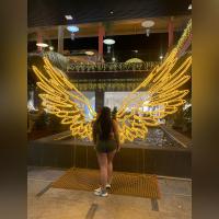 631279675: Chica busca chico en Las Palmas