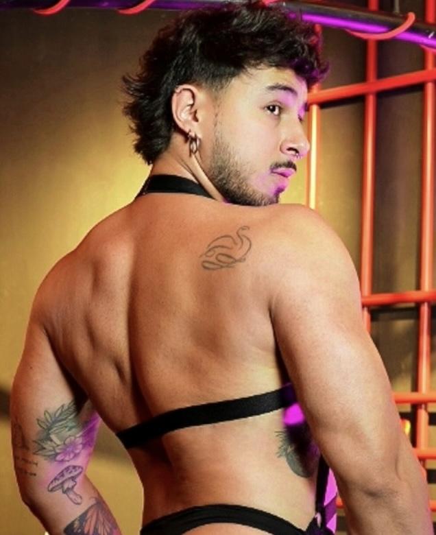 Chico busca chica en Guipúzcoa: 