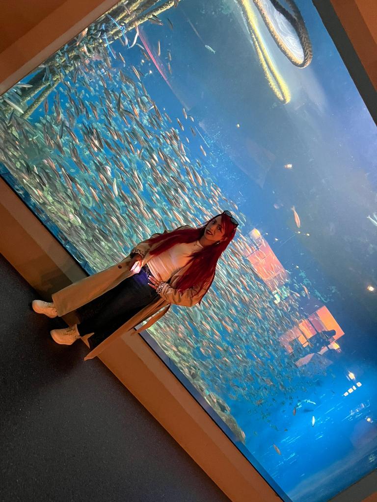 Travesti en Pontevedra: 