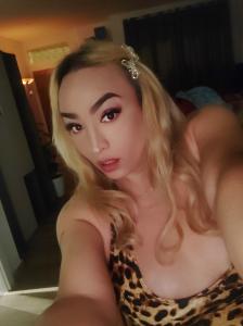 613410281: Travesti en Mallorca