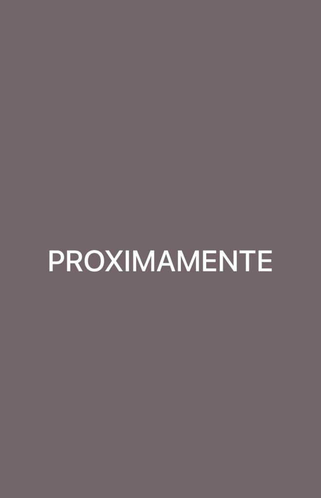 Travesti en Valencia: 