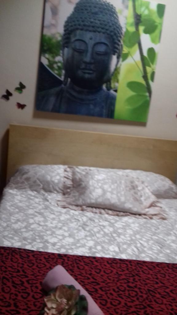 Chica busca chico en Tenerife: 