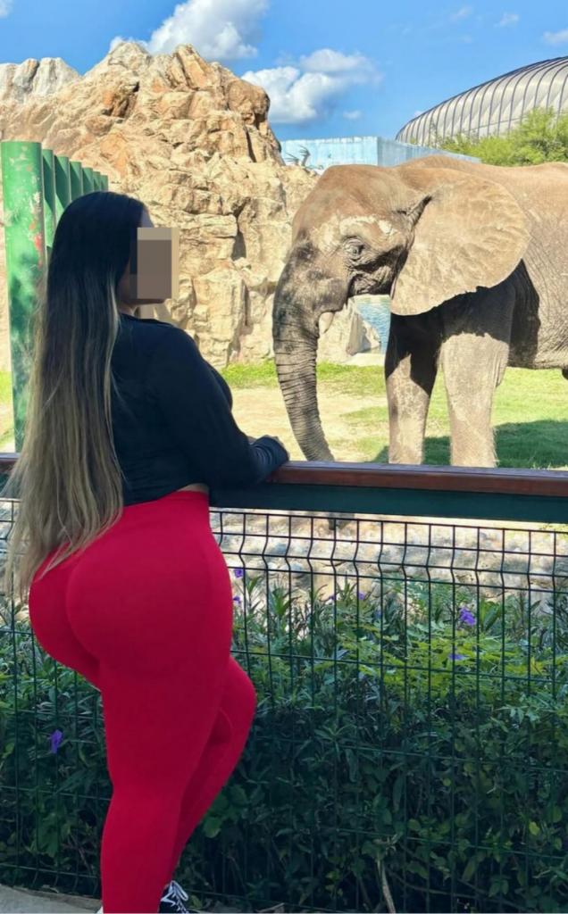 Chica busca chico en Mallorca: Chica busca chico