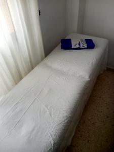 Transexual en Málaga: 