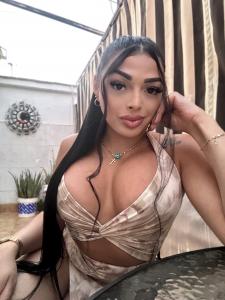 Transexual en Alicante: 