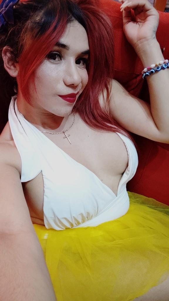 Transexual en Gerona: 